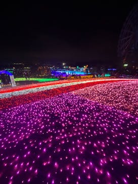東武動物公園に投稿された画像（2020/12/25）