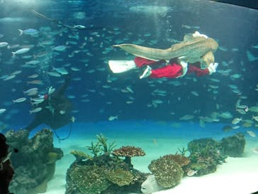 サンシャイン水族館に投稿された画像（2020/12/25）