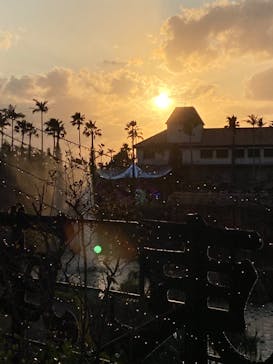 美らヤシパークオキナワ・東南植物楽園に投稿された画像（2020/12/25）