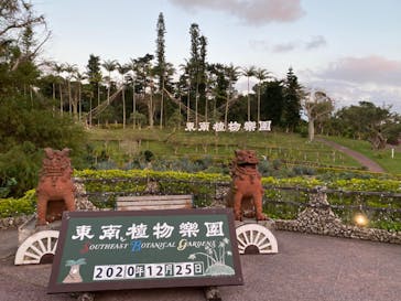 美らヤシパークオキナワ・東南植物楽園に投稿された画像（2020/12/25）