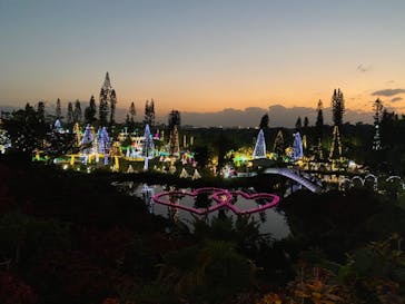 美らヤシパークオキナワ・東南植物楽園に投稿された画像（2020/12/25）