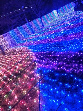 よみうりランド 遊園地に投稿された画像（2020/12/25）