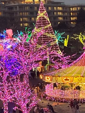 よみうりランド 遊園地に投稿された画像（2020/12/25）