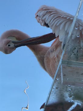 サンシャイン水族館に投稿された画像（2020/12/25）