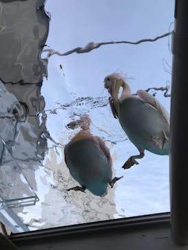サンシャイン水族館に投稿された画像（2020/12/25）