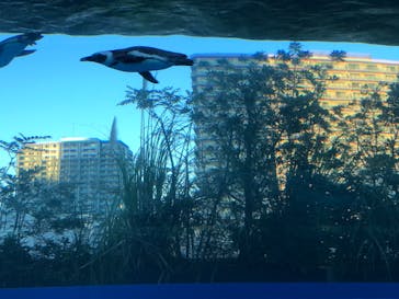 サンシャイン水族館に投稿された画像（2020/12/25）