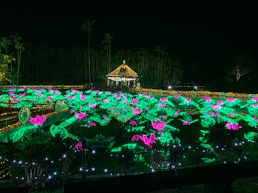 美らヤシパークオキナワ・東南植物楽園に投稿された画像（2020/12/25）