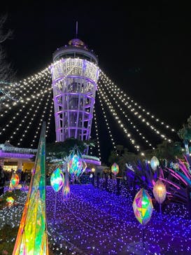 江の島シーキャンドルに投稿された画像（2020/12/25）