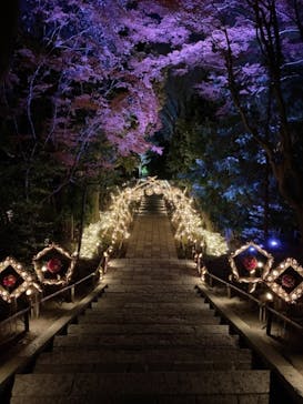 よみうりランド 遊園地に投稿された画像（2020/12/25）