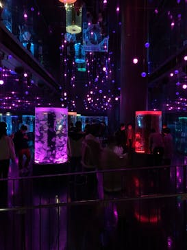 マクセル アクアパーク品川に投稿された画像（2020/12/25）