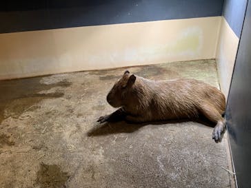 マクセル アクアパーク品川に投稿された画像（2020/12/25）