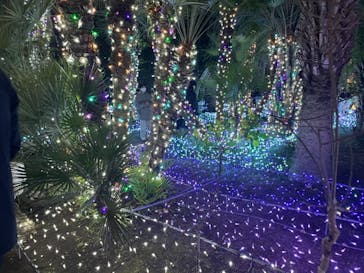 江の島シーキャンドルに投稿された画像（2020/12/25）