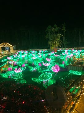 美らヤシパークオキナワ・東南植物楽園に投稿された画像（2020/12/25）