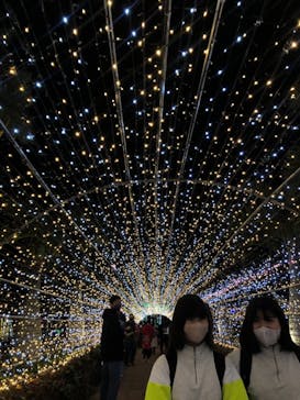 美らヤシパークオキナワ・東南植物楽園に投稿された画像（2020/12/25）