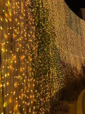 ひらかたパークに投稿された画像（2020/12/25）