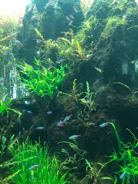 すみだ水族館に投稿された画像（2020/12/25）