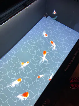 すみだ水族館に投稿された画像（2020/12/25）