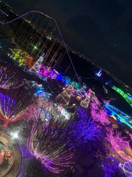 よみうりランド 遊園地に投稿された画像（2020/12/25）