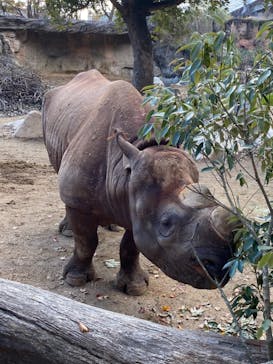 天王寺動物園に投稿された画像（2020/12/25）