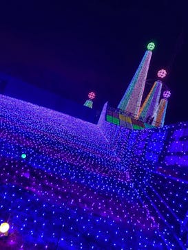 よみうりランド 遊園地に投稿された画像（2020/12/25）