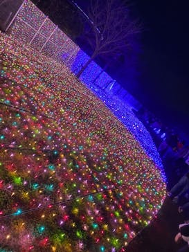 よみうりランド 遊園地に投稿された画像（2020/12/25）