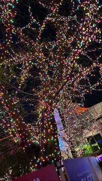 よみうりランド 遊園地に投稿された画像（2020/12/25）