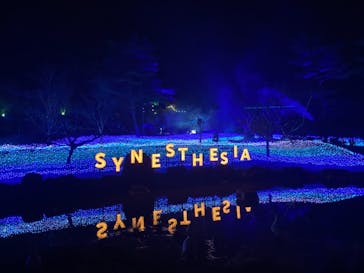KYOTO ILLUMINATION SYNESTHESIA HILLS るり渓温泉に投稿された画像（2020/12/25）