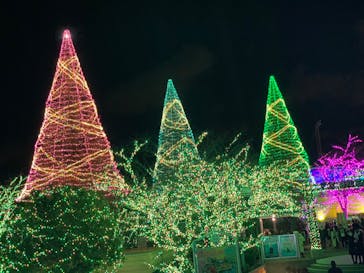 よみうりランド 遊園地に投稿された画像（2020/12/25）