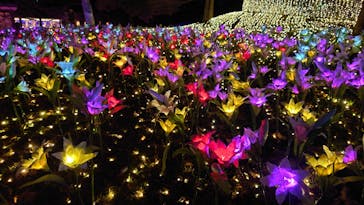 さがみ湖MORI MORIに投稿された画像（2020/12/25）