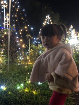 美らヤシパークオキナワ・東南植物楽園に投稿された画像（2020/12/25）