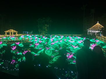 美らヤシパークオキナワ・東南植物楽園に投稿された画像（2020/12/25）