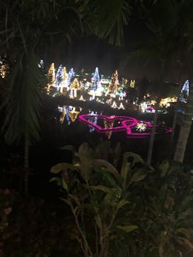 美らヤシパークオキナワ・東南植物楽園に投稿された画像（2020/12/25）