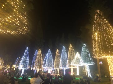 美らヤシパークオキナワ・東南植物楽園に投稿された画像（2020/12/25）