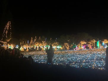 美らヤシパークオキナワ・東南植物楽園に投稿された画像（2020/12/25）