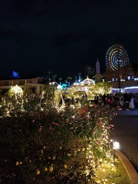 ひらかたパークに投稿された画像（2020/12/25）