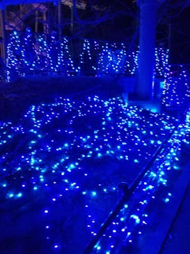 ひらかたパークに投稿された画像（2020/12/25）