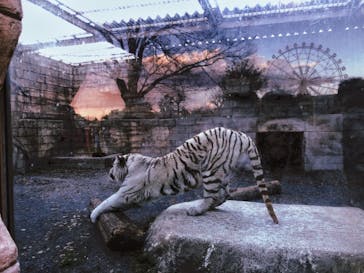 東武動物公園に投稿された画像（2020/12/25）