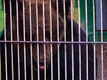 東武動物公園に投稿された画像（2020/12/25）