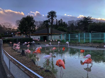 東武動物公園に投稿された画像（2020/12/25）