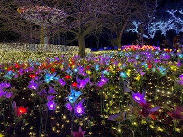 さがみ湖MORI MORIに投稿された画像（2020/12/25）