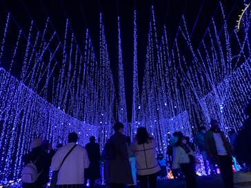 さがみ湖MORI MORIに投稿された画像（2020/12/25）