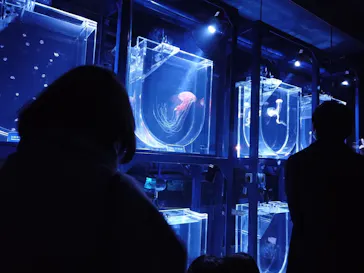 すみだ水族館に投稿された画像（2020/12/25）