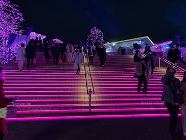 よみうりランド 遊園地に投稿された画像（2020/12/25）