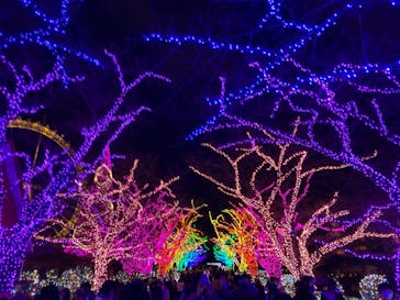 よみうりランド 遊園地に投稿された画像（2020/12/26）