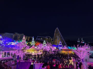よみうりランド 遊園地に投稿された画像（2020/12/26）