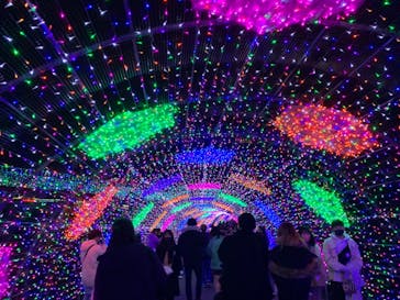 よみうりランド 遊園地に投稿された画像（2020/12/26）