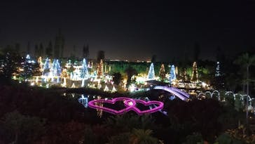 美らヤシパークオキナワ・東南植物楽園に投稿された画像（2020/12/26）