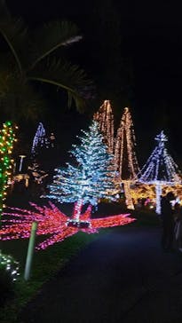 美らヤシパークオキナワ・東南植物楽園に投稿された画像（2020/12/26）