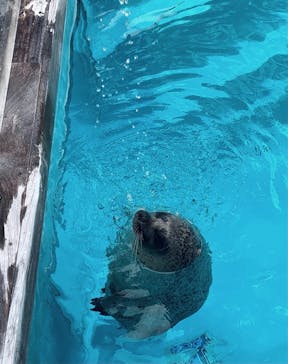 マリンワールド海の中道に投稿された画像（2020/12/26）