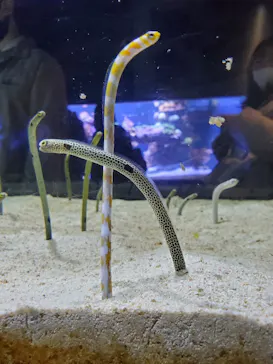 すみだ水族館に投稿された画像（2020/12/26）